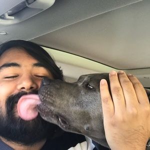 Meet your Posher, Devin